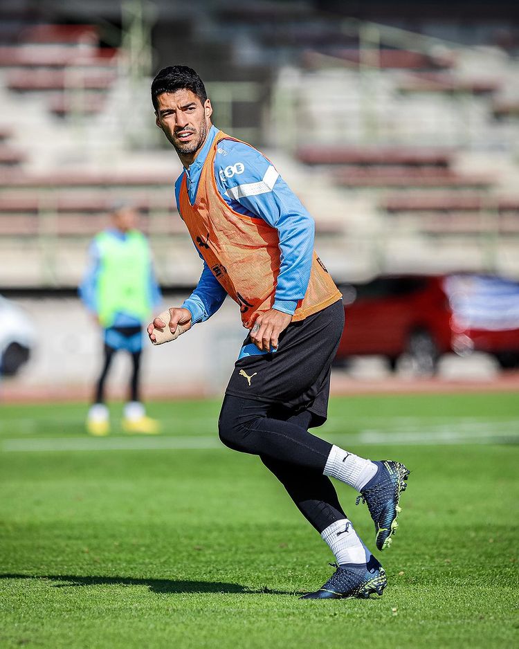Suarez