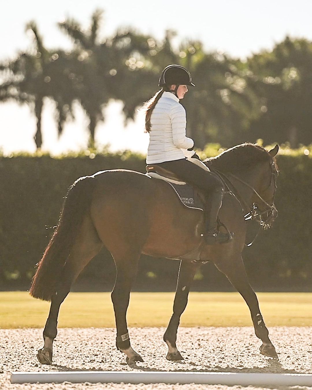 Jennifer Gates is an elite equestrian