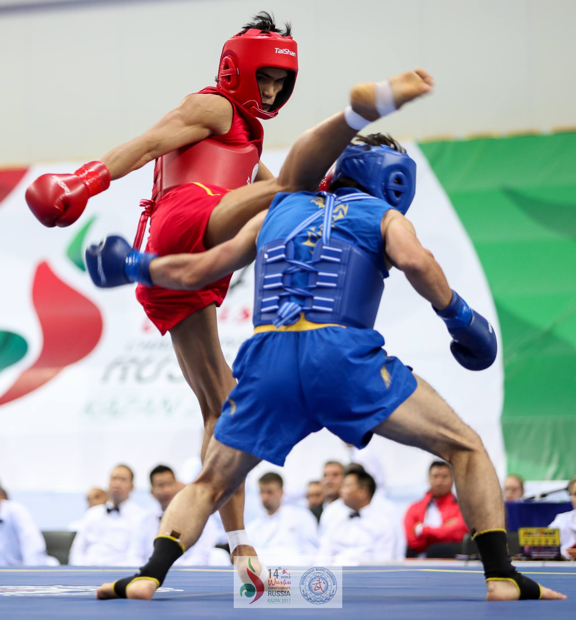 Wushu (Sanda discipline)