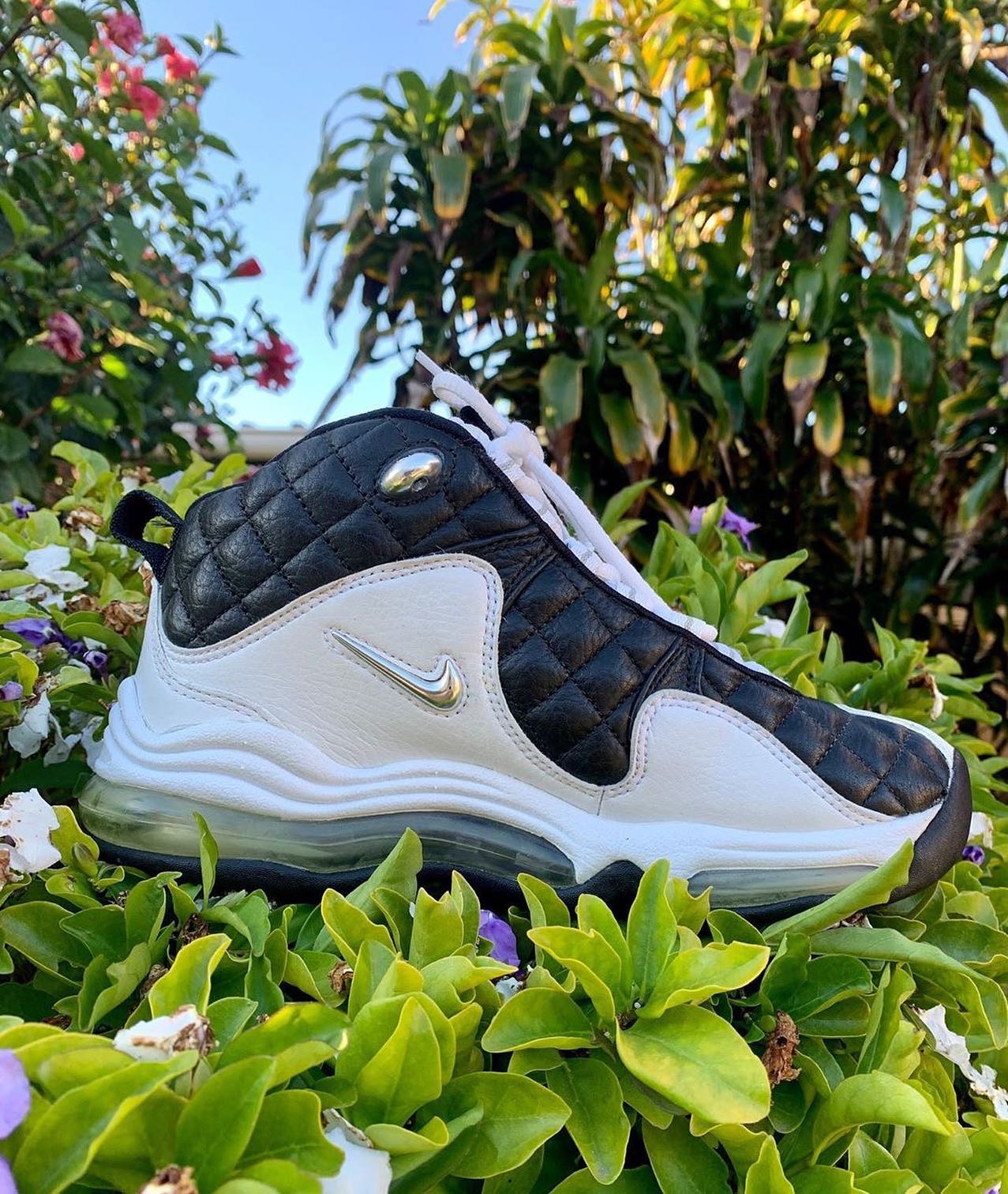 wnba signature shoes: Lisa Leslie