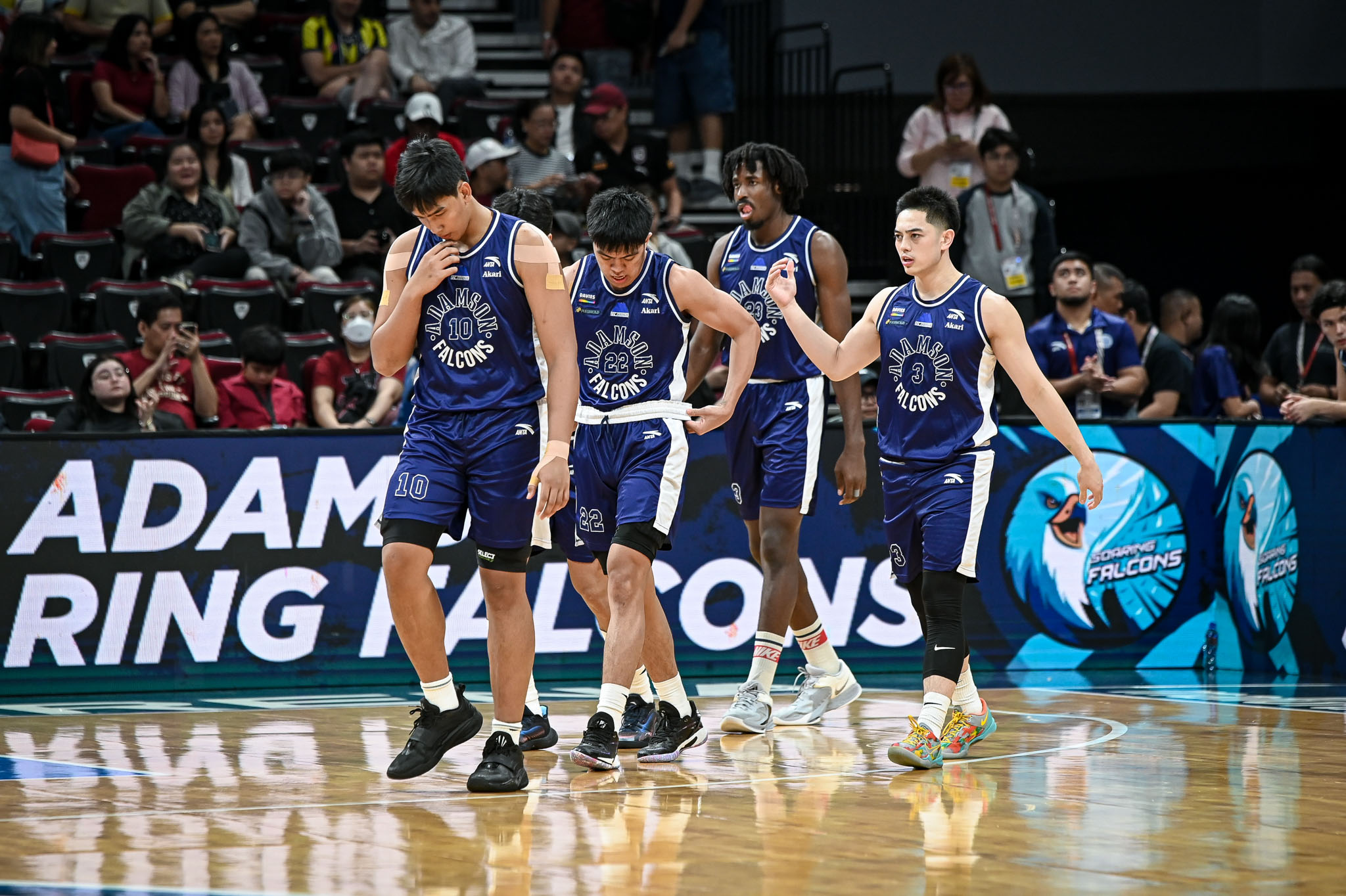 The Adamson Soaring Falcons