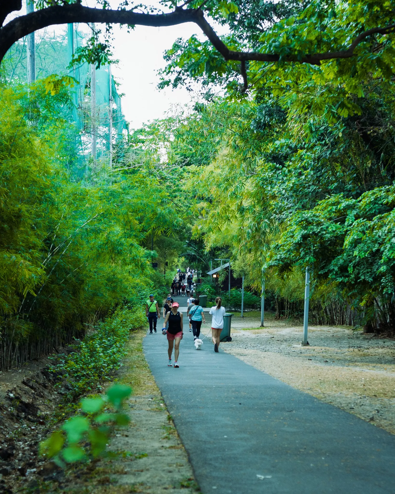 Bgc-greenway - the game