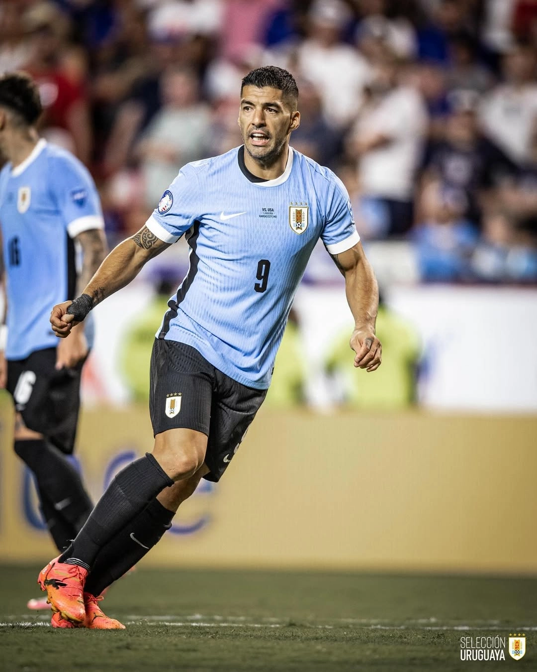 Luis suarez - the game