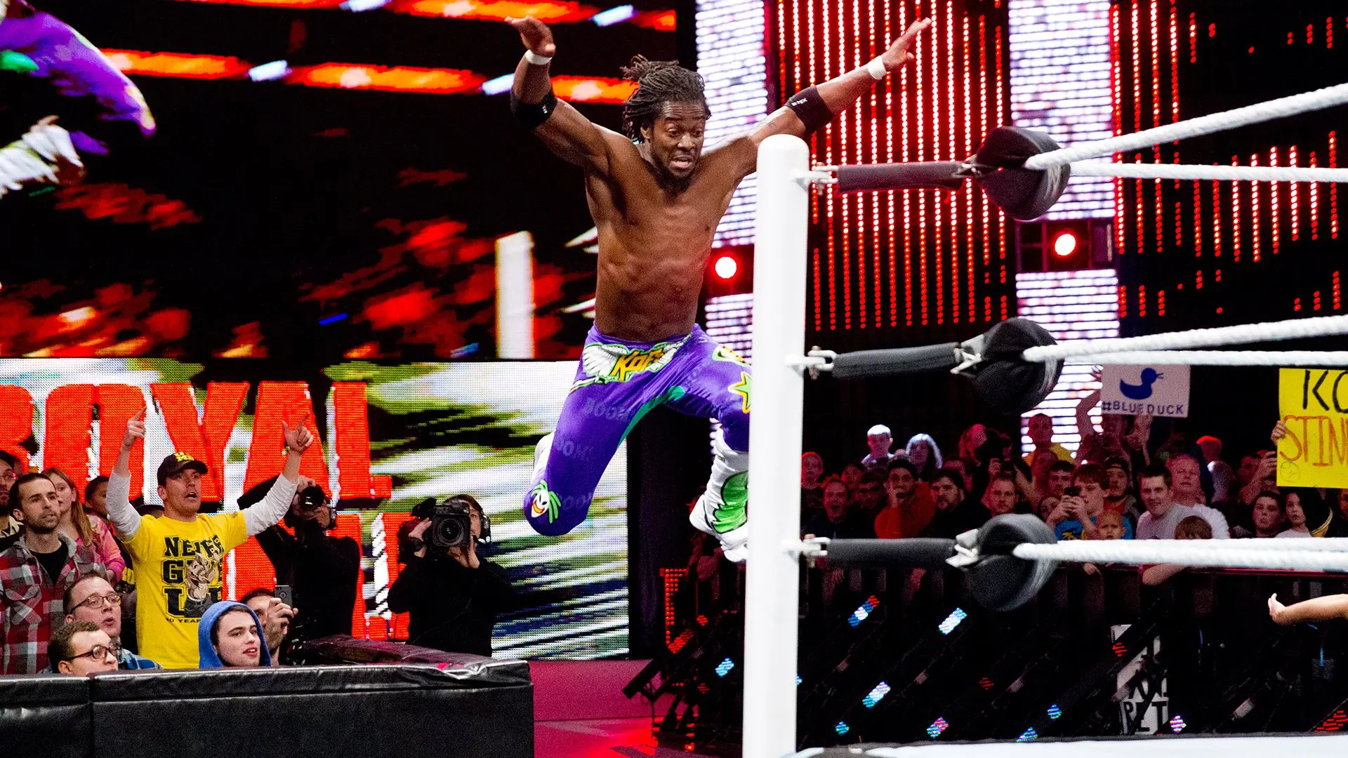 Wrestler with colorful tights leaps mid-air inside a wrestling ring as fans cheer in the arena below.