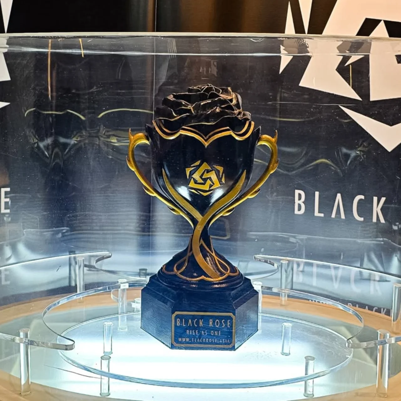 Alodia Hints at the Exciting Future for Black Rose