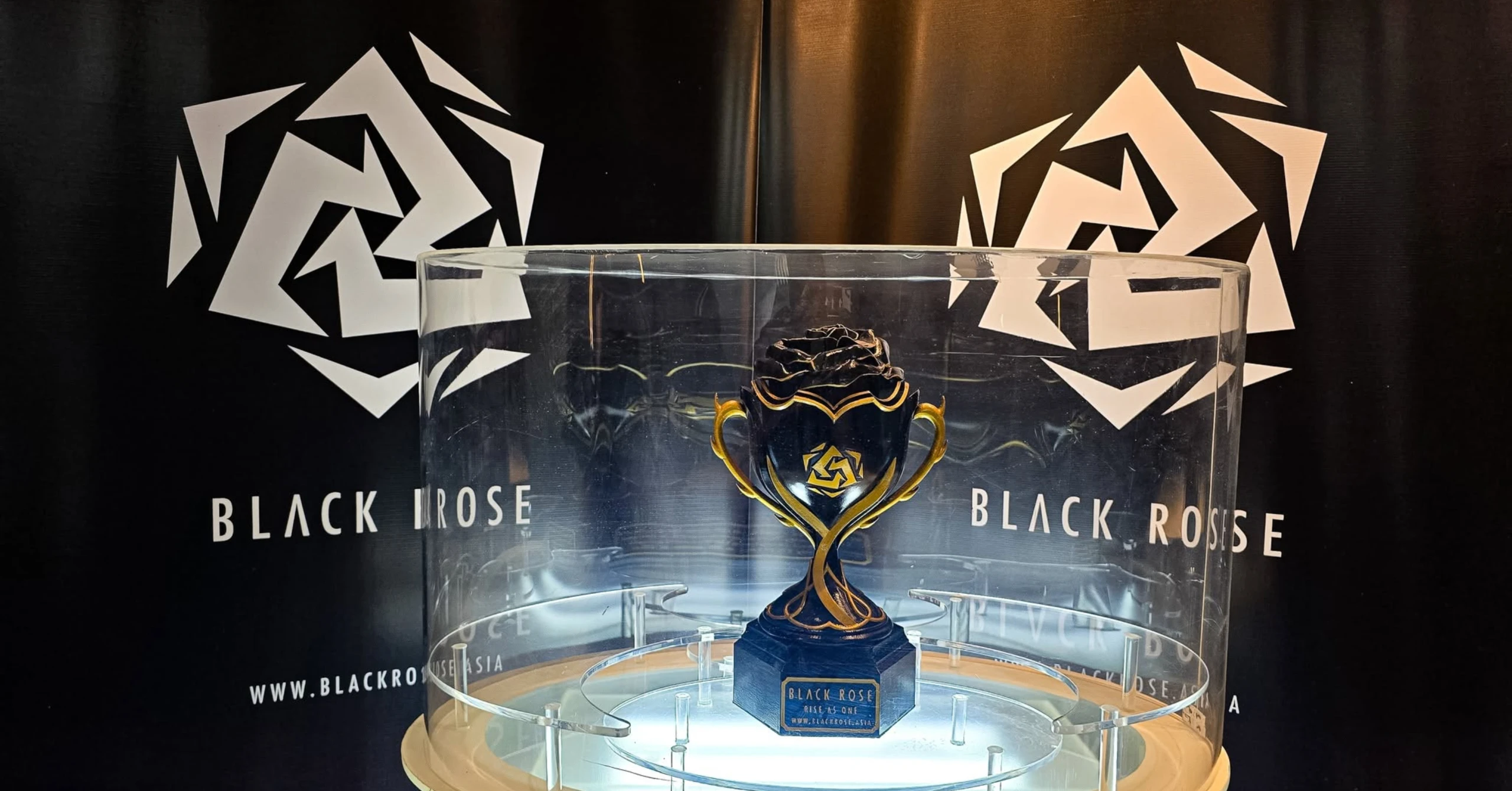 Alodia Hints at the Exciting Future for Black Rose