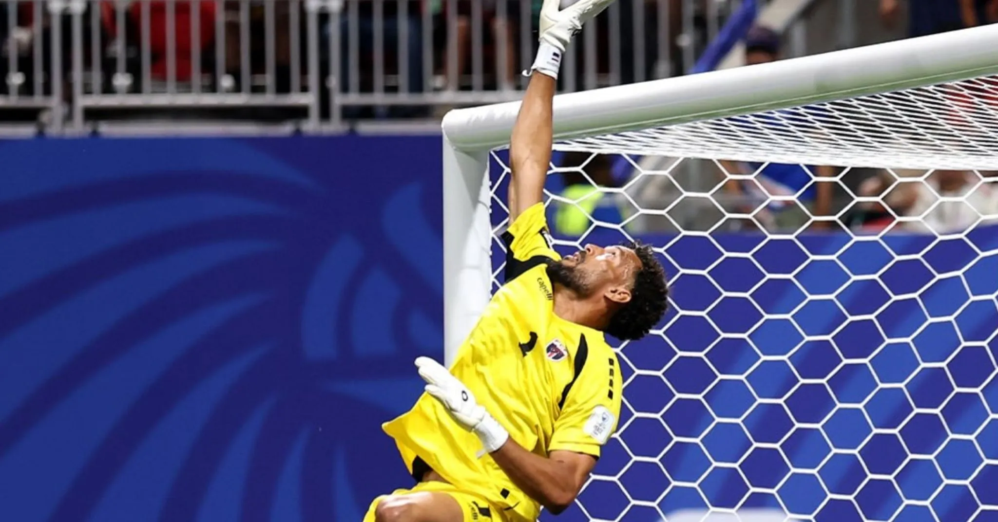 FIFA World Cup: Vozinha
